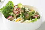 Australian Tuna Lemon and Avocado Salad Recipe Appetizer