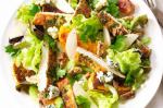 Australian Warm Chicken Schnitzel Salad Recipe Dessert