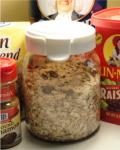American Make Your Own Instant Oatmeal Oamc Appetizer