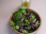 American Truffle Dressing Herb Salad Appetizer