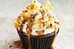 Peanut Butter And Chocolate Cupcakes Recipe recipe