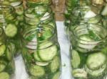 Canadian Smallbatch Refrigerator Dill Pickles Appetizer