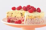 American Berry And Honeycomb Ice Cream Terrine Recipe Dessert