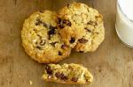 American Sultana Oat Cookies Recipe 1 Dessert
