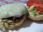 Mexican Santa Fe Burger 1 Appetizer