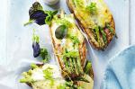 Asparagus Croque Monsieur Recipe recipe