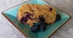 American Blueberry Oat Bars 2 Dessert