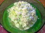 American Creamy Cabbage Coleslaw 4 Appetizer