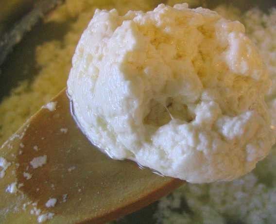 American Joannas Easy Homemade Ricotta Appetizer