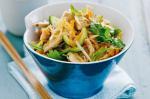 Pork and Rice Noodle Salad Recipe recipe
