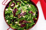 Australian Almond Spinach And Beetroot Leaf Salad Recipe Appetizer