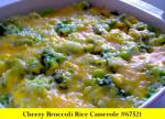 American Cheesy Broccoli Rice Casserole 1 Dinner