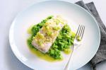 American Baked Fish With Pea Puree Recipe Appetizer