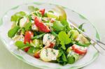 American Nicoise Salad Recipe 8 Appetizer