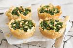 American Spinach Feta And Pine Nut Pies Recipe Appetizer