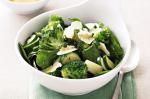 American Sauteed Broccoli Zucchini And Baby Spinach Recipe Appetizer