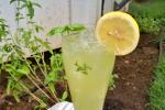 Thai Basil Lemonade 4 Appetizer