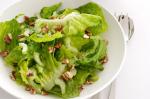 Australian Cos And Celery Salad Recipe Drink