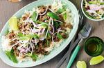 Australian Lemongrass And Chilli Larb With Mint Salad Recipe Appetizer