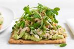 American Chilli Mint Chicken With Avocado And Snow Pea Sprouts Recipe Dinner