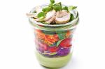 American Rainbow Chicken Salad Recipe 1 Appetizer