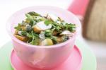 American Kipfler Potato Asparagus And Rocket Salad Recipe Appetizer
