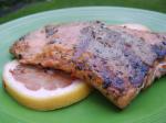 American Grilled Balsamic and Grapefruit Glazed Salmon Appetizer