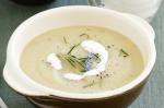 Australian Potato Leek And Rosemary Soup Recipe Appetizer
