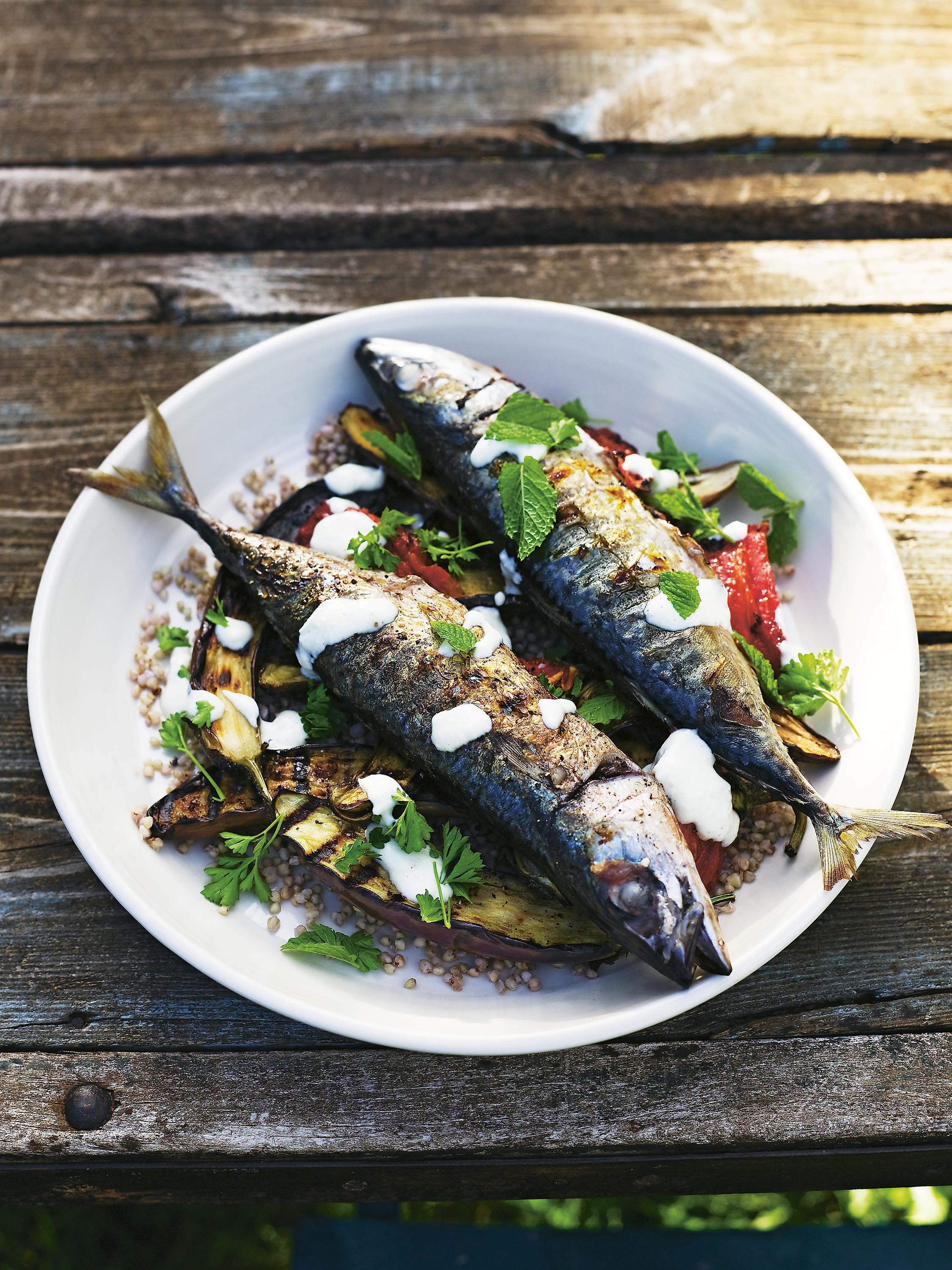 Australian Grilled Mackerel with Barley Eggplant and Garlic Yoghurt Appetizer