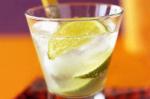 American Citrus Soda Recipe Appetizer