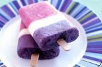 American Yoghurt Berry Pops Recipe Dessert