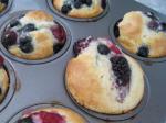 American Jumbo Blueberry Muffins or Cranberry Dessert