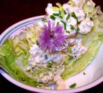 Canadian Iceberg Lettuce Wedges Wcreamy Blue Cheese Dressing Appetizer