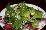 American Spring Mix Salad With Pomegranate Honey Dressing and Toasted P Appetizer