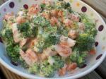 American Broccoli and Carrots in Creamy Parmesan Sauce Appetizer