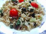 British Wild Oats Greek Orzo and Spinach Salad Appetizer