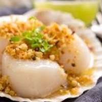American Baked Scallops Appetizer