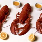 Canadian Steamed Lobsters Recipe Appetizer