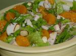 American Orange Lettuce Salad Appetizer