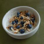 British Cereal with Currants or Blueberries Dessert