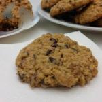 British Chocolate Chip Cookies with Oatmeal and Pekannussen Dessert