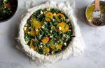 Australian Greek Beet and Beet Greens Pie Recipe Appetizer