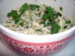 American Kal Salat  Cabbage Salad Appetizer