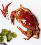 Hong Kong Fatty Crabands Chili Crab Recipe Appetizer