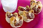 American Catface Chocolate Palmiers Recipe Dessert