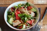 American Duck Watermelon And Coriander Salad Recipe 1 Appetizer