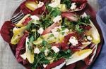 American Radiccio Watercress And Witlof Salad With Pomegranate Dressing Recipe Appetizer