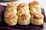 British Fennel And Cheese Scones Recipe Appetizer