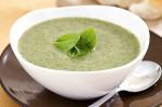 British Spinach And Broccoli Soup Recipe Appetizer