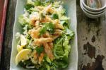 American Chilli Salt And Pepper Squid With Cucumber And Coriander Salad Recipe Appetizer